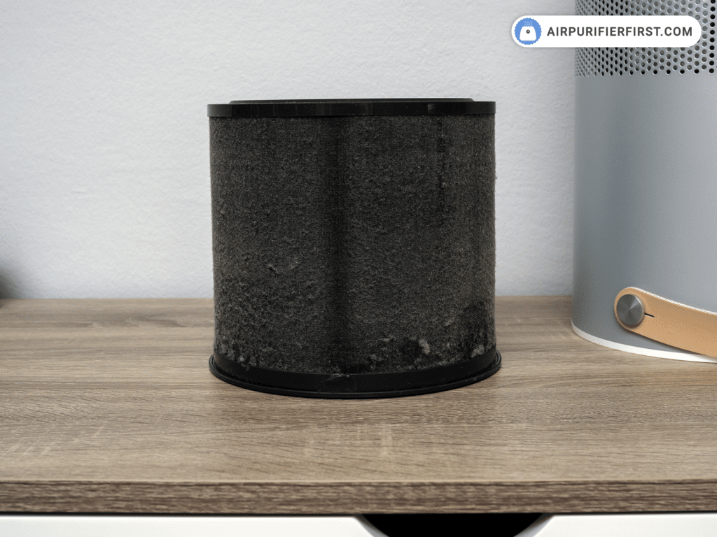 Is it Worth it to Buy an Air Purifier - Pre-filter