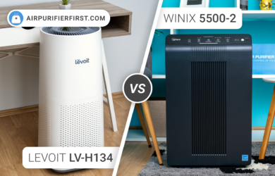 Levoit LV-H134 Vs Winix 5500-2 - Hands-on Comparison